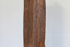 S-227B-Mit-dem-Nagel-2010